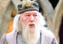 dumbledore harry potter